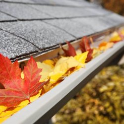 Unbe-leaf-able fall home maintenance tips!